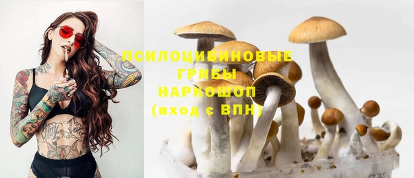 МДМА Богданович
